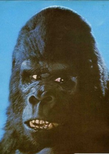 King Kong (De Laurentiis) photo