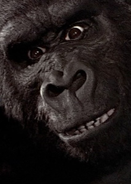 King Kong (De Laurentiis) photo