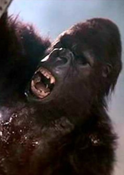 King Kong (King Kong Lives) photo