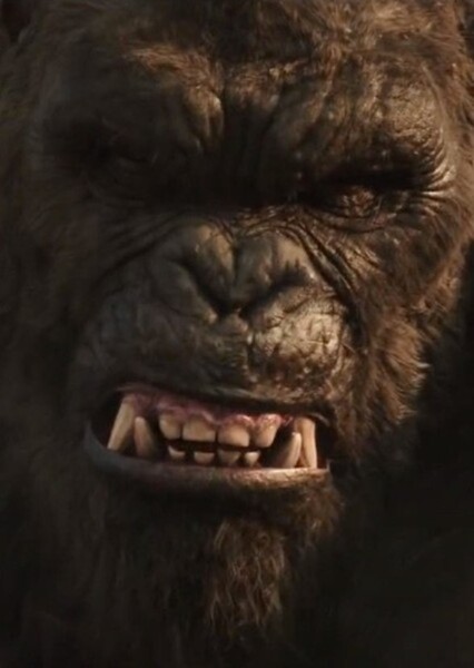 King Kong (MonsterVerse) photo