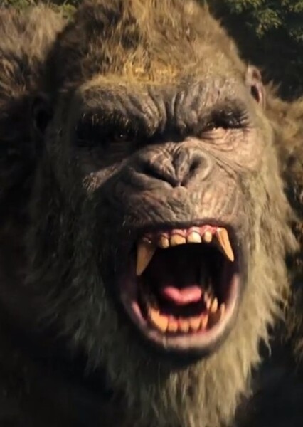 King Kong (MonsterVerse) photo