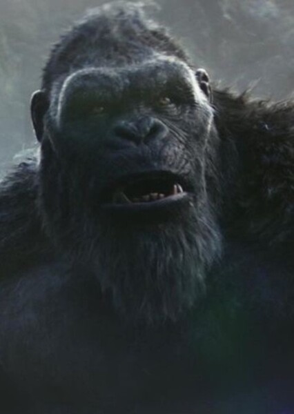 King Kong (MonsterVerse) photo