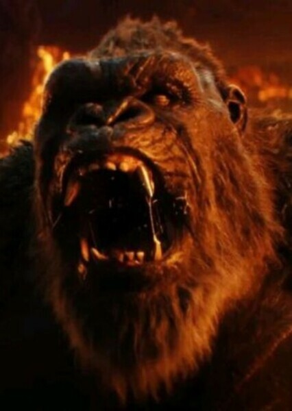 King Kong (MonsterVerse) photo