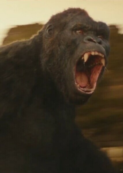 King Kong (MonsterVerse) photo