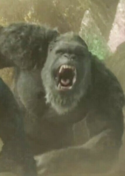 King Kong (MonsterVerse) photo
