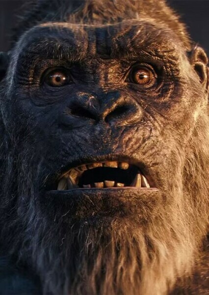 King Kong (MonsterVerse) photo