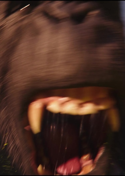 King Kong Roar photo