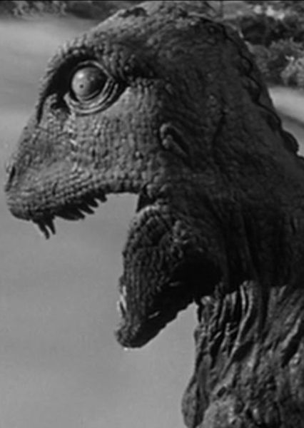 King Kong Roar photo