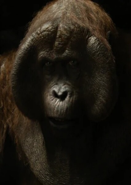King Louie