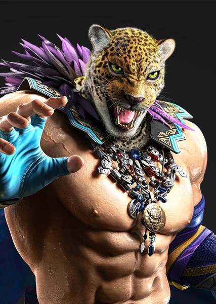 King (Tekken) photo