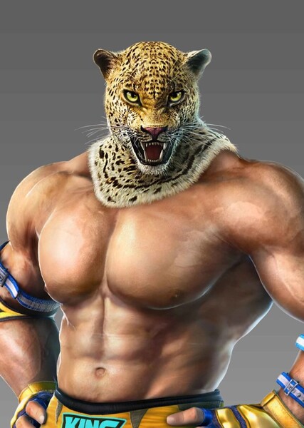 King (Tekken) photo