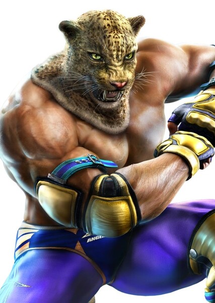 King (Tekken) photo