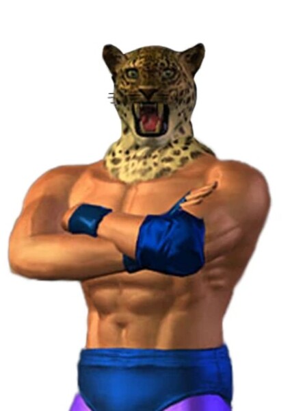 King (Tekken) photo