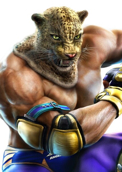 King (Tekken) photo