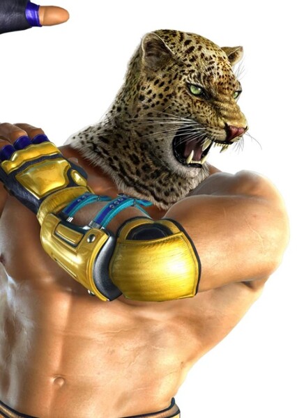 King (Tekken) photo