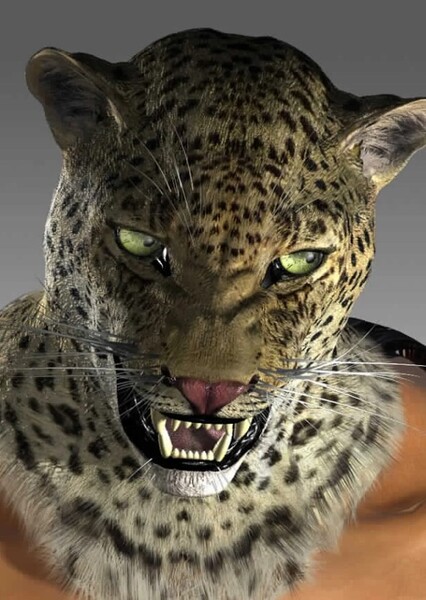 King (Tekken) photo