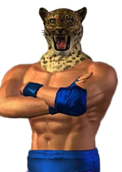 King (Tekken) photo