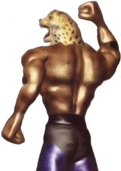 The Pro-Wrestler