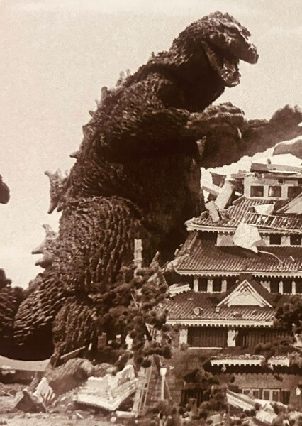 KingGoji photo