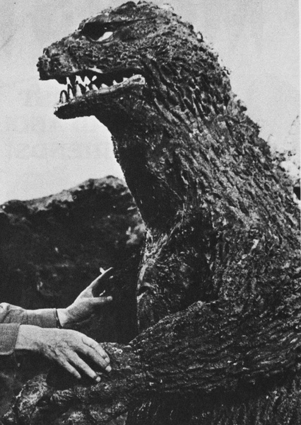 KingGoji photo