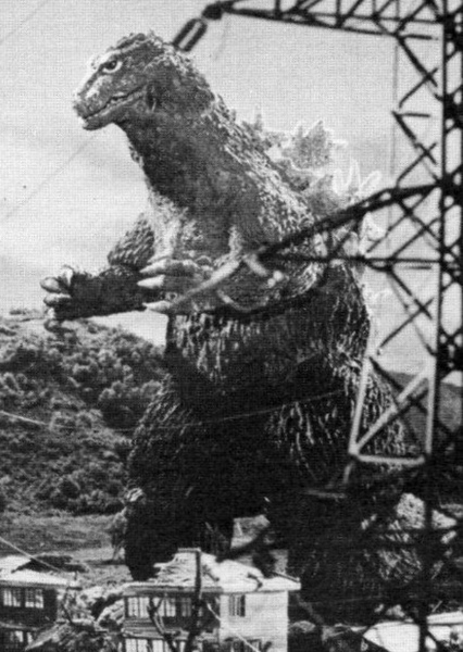 KingGoji photo