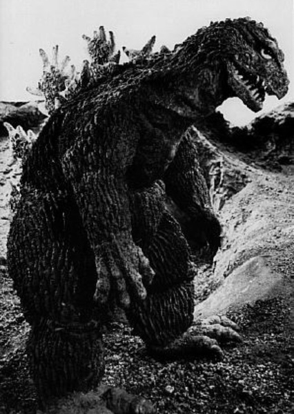 KingGoji photo