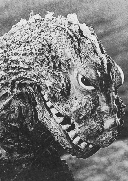 KingGoji photo