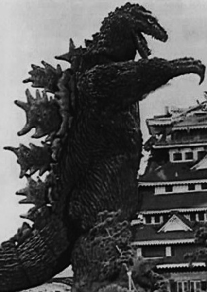 KingGoji photo