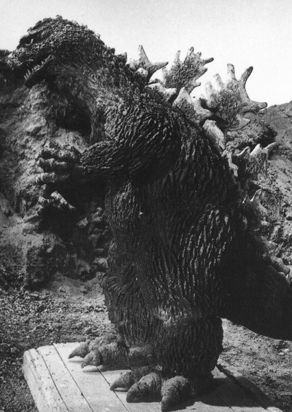 KingGoji photo