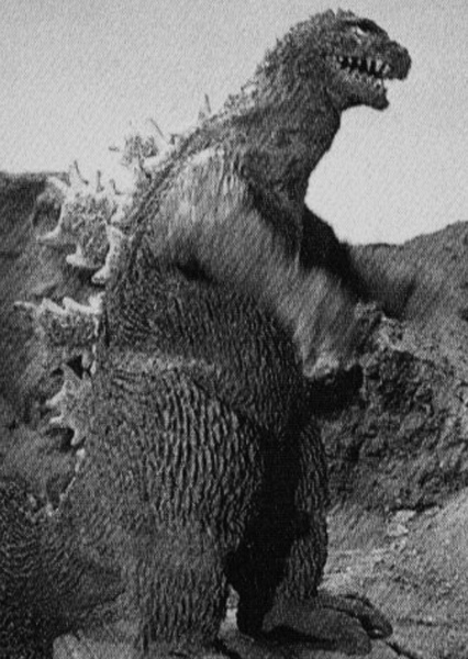 KingGoji photo