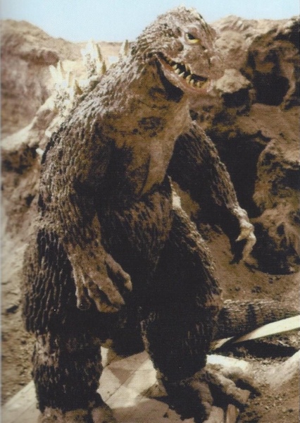 KingGoji photo
