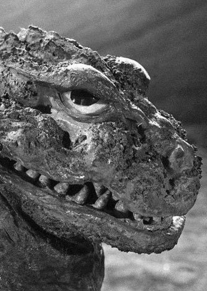 KingGoji photo