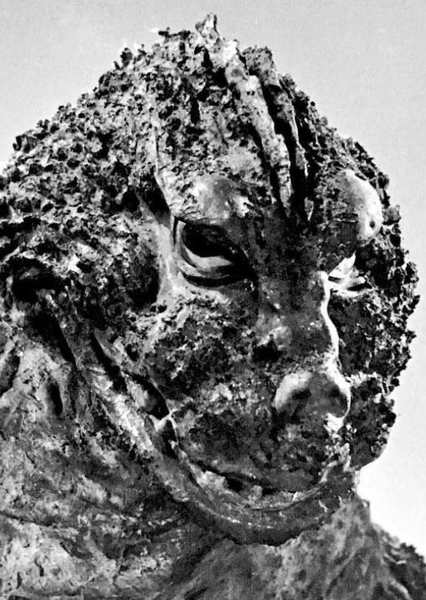 KingGoji photo