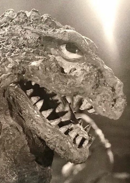 KingGoji photo