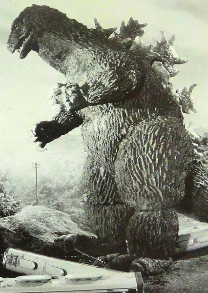 KingGoji photo