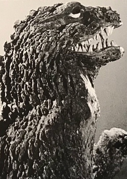 KingGoji photo