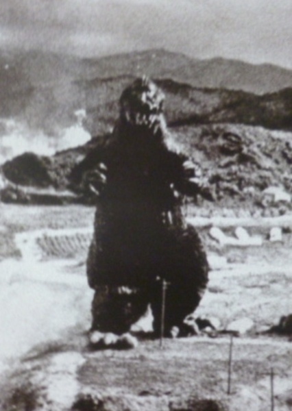 KingGoji photo