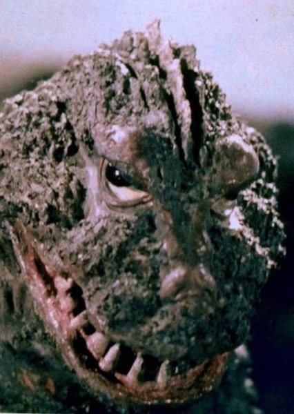 KingGoji photo