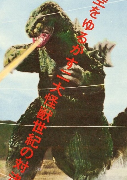 KingGoji photo