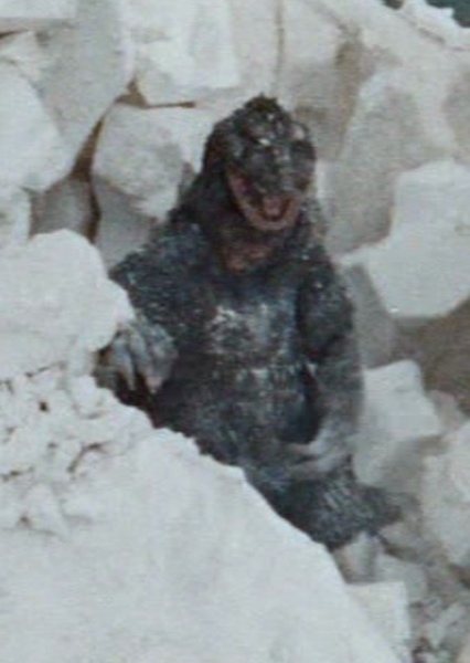 KingGoji photo