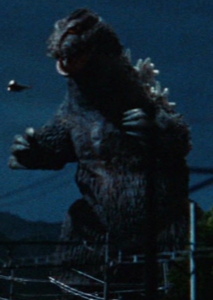 KingGoji photo