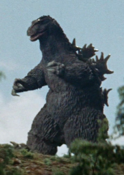 KingGoji photo
