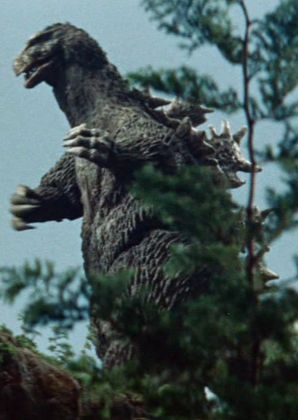 KingGoji photo