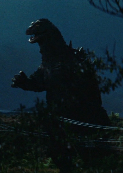KingGoji photo
