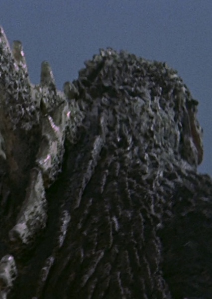KingGoji photo