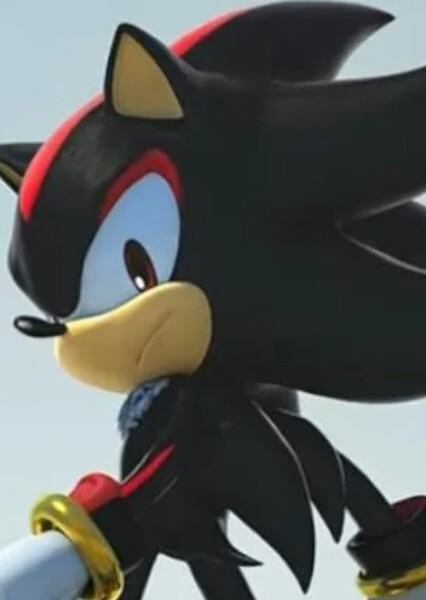 Shadow The Hedgehog