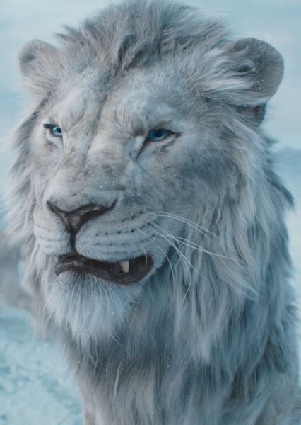 Kiros (Mufasa: The Lion King) photo