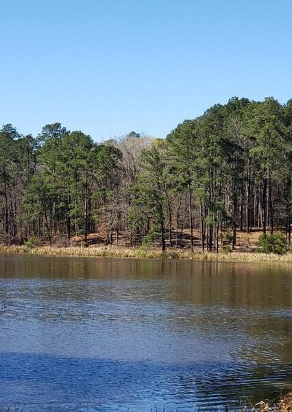 Kisatchie National Forest