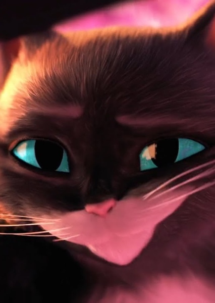 Kitty Softpaws photo