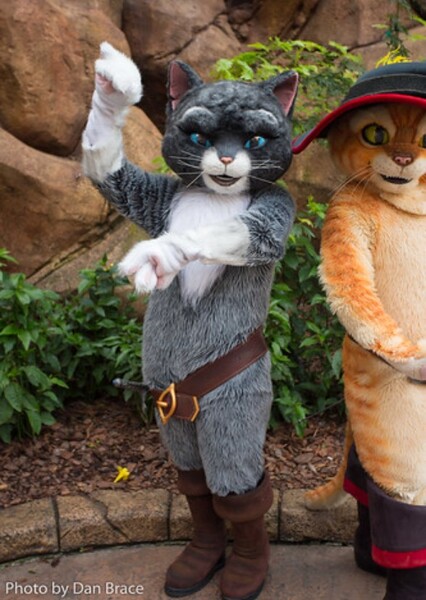 Kitty Softpaws photo